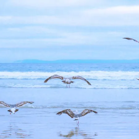 شقة Callantsduyne 24 - Groote Keeten Aan Zee كالانتسوج