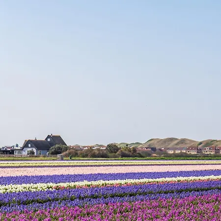 Callantsduyne 24 - Groote Keeten Aan Zee شقة *