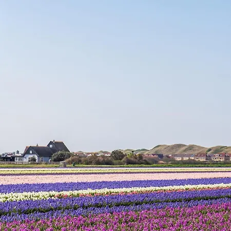 Callantsduyne 24 - Groote Keeten Aan Zee كالانتسوج