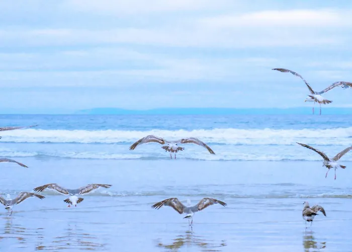 Apartment Callantsduyne 24 - Groote Keeten Aan Zee Callantsoog
